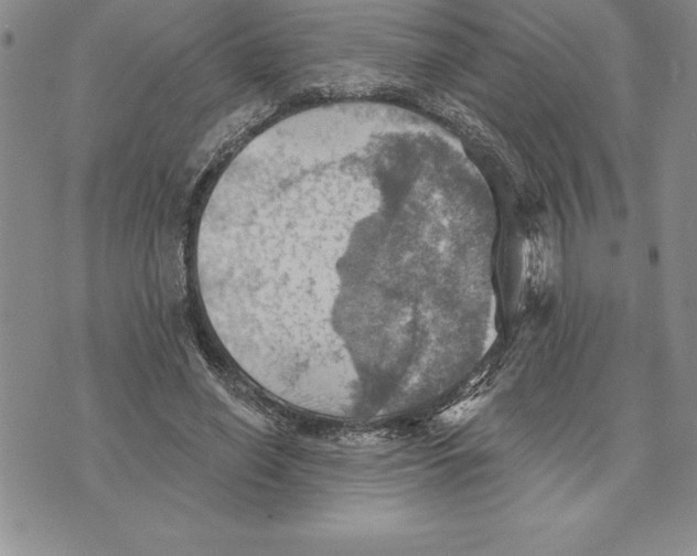 X0000075830638200610151521