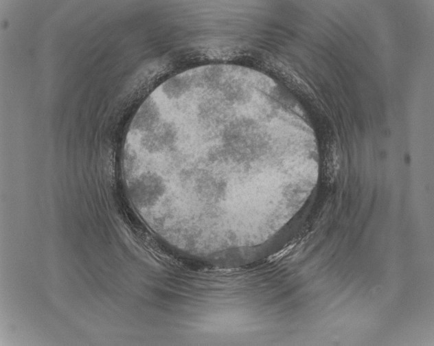 X0000075830639200610151521