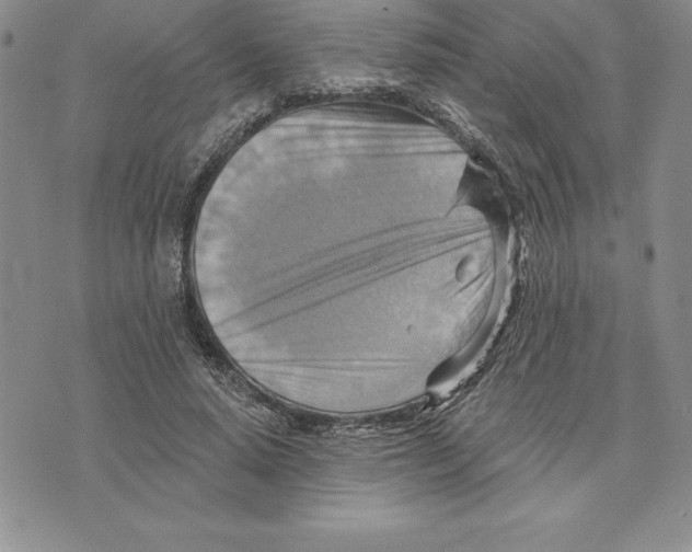 X0000075830640200610151521