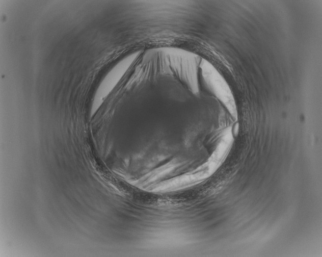 X0000075830641200610151521