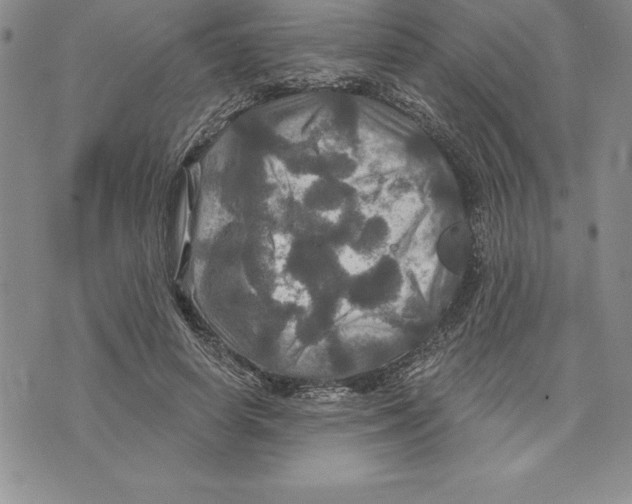 X0000075830642200610151521