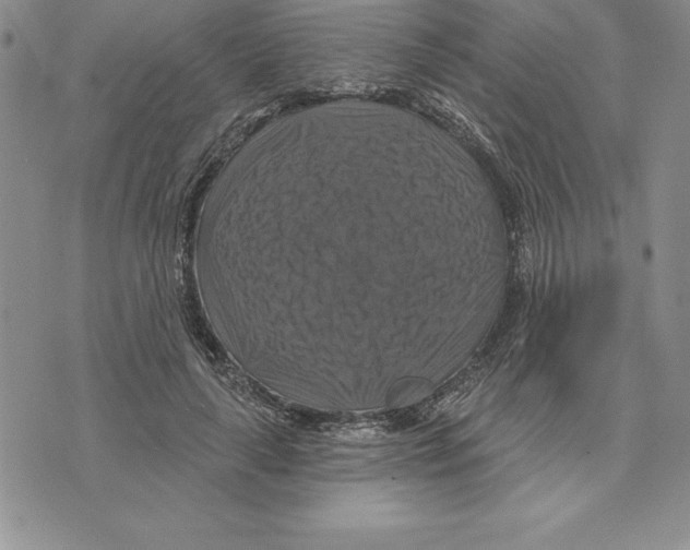 X0000075830643200610151521