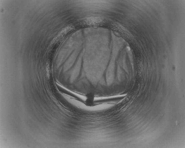 X0000075830644200610151521