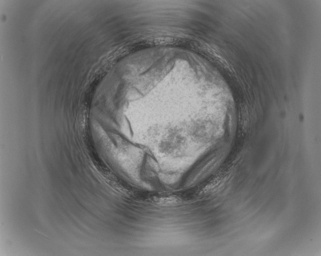 X0000075830645200610151521