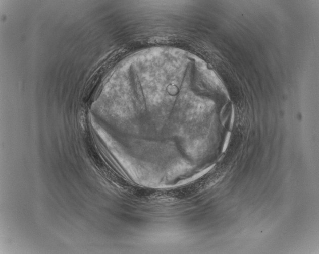 X0000075830648200610151521