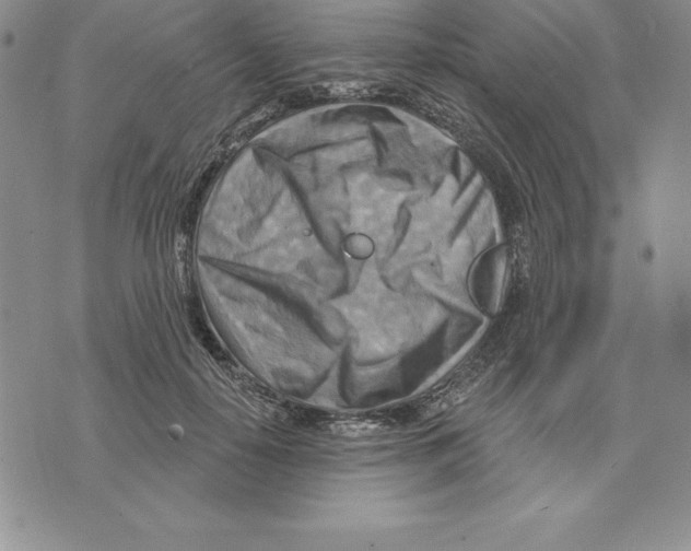 X0000075830650200610151521