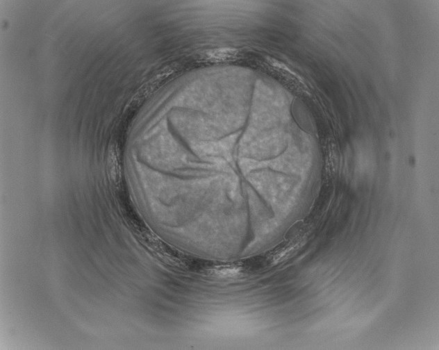 X0000075830651200610151521