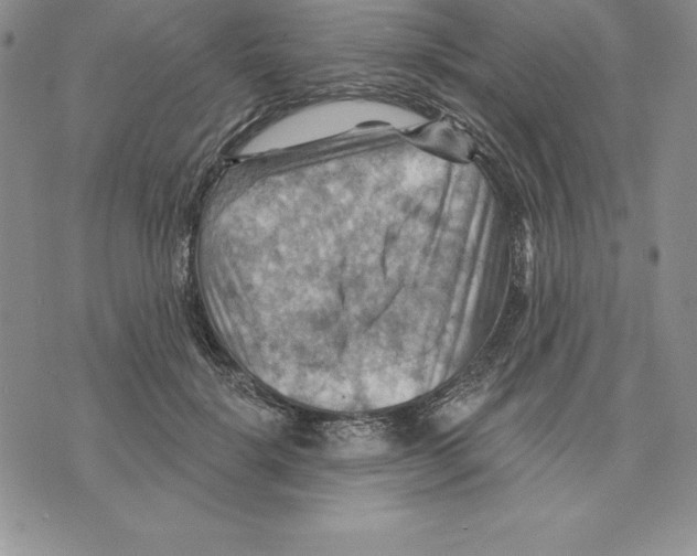 X0000075830652200610151521