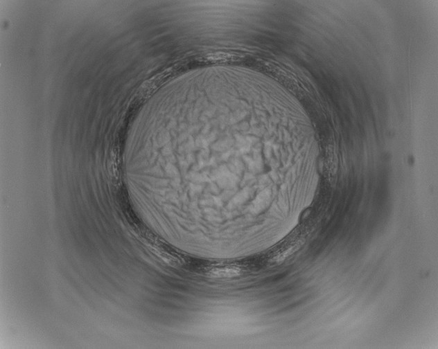 X0000075830653200610151521