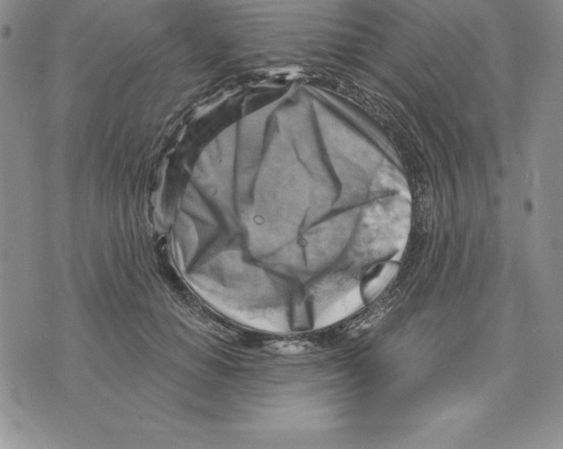 X0000075830654200610151521