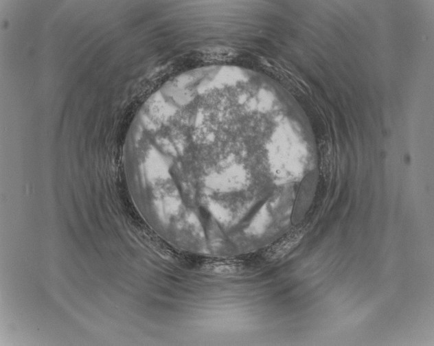 X0000075830655200610151521