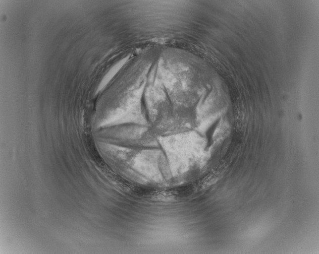 X0000075830656200610151521