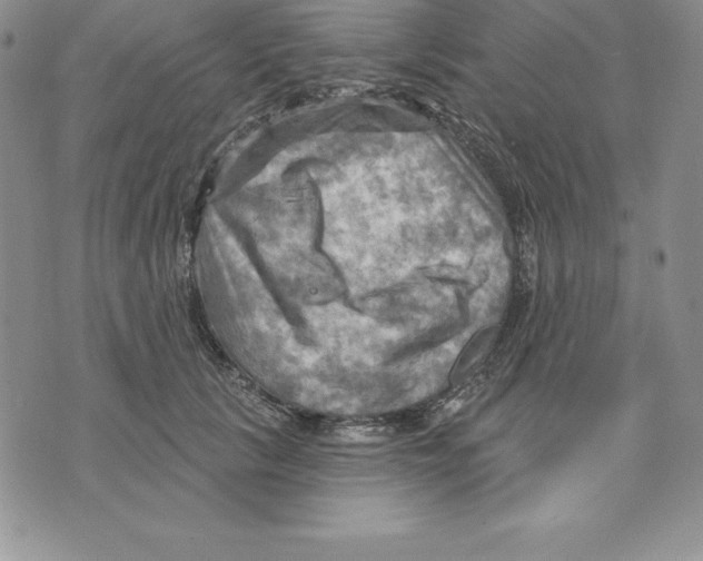 X0000075830657200610151521