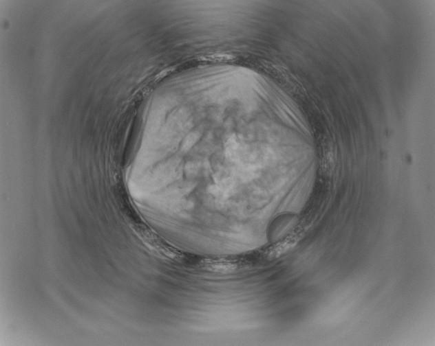 X0000075830658200610151521