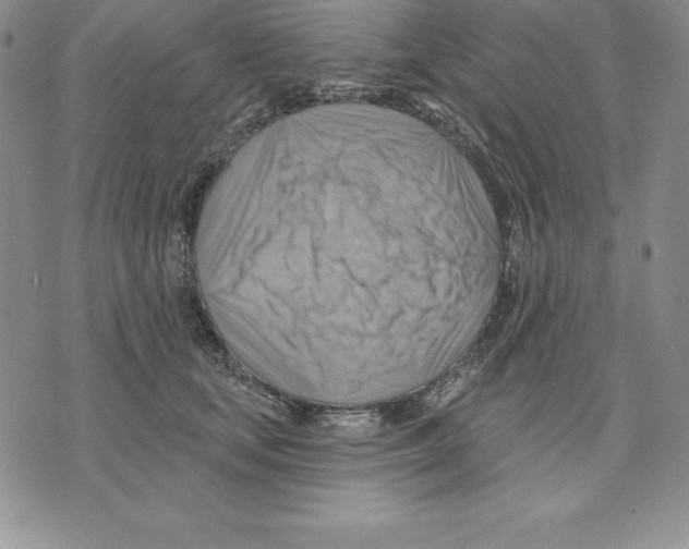 X0000075830659200610151521