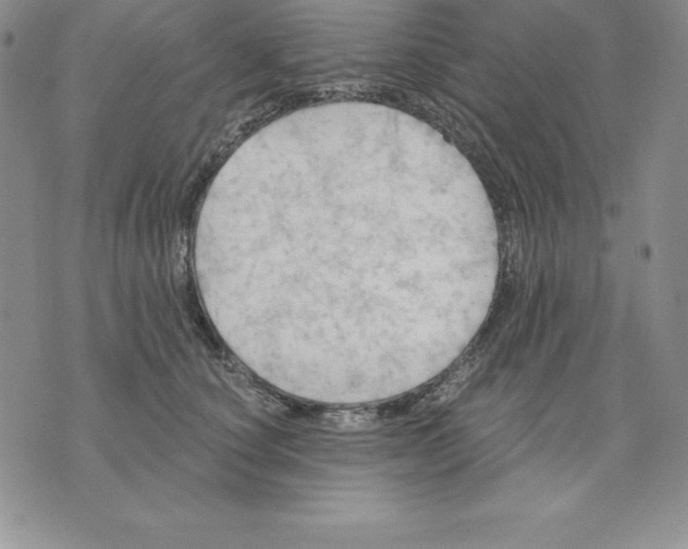 X0000075830660200610151521