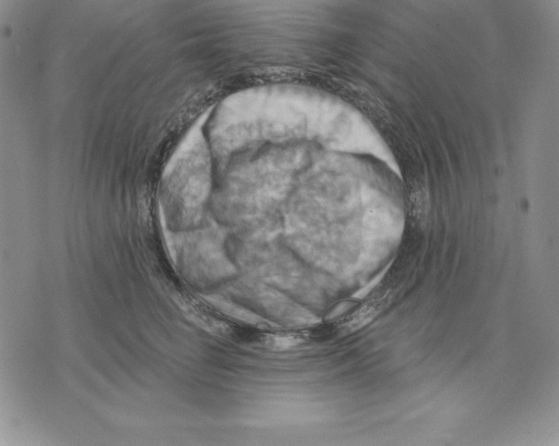 X0000075830662200610151521