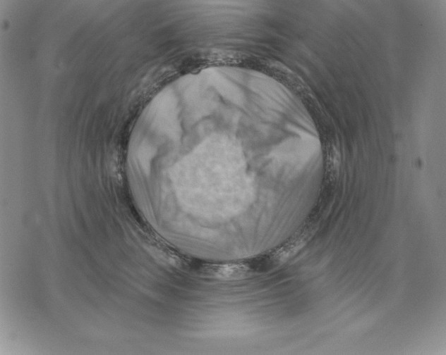 X0000075830663200610151521