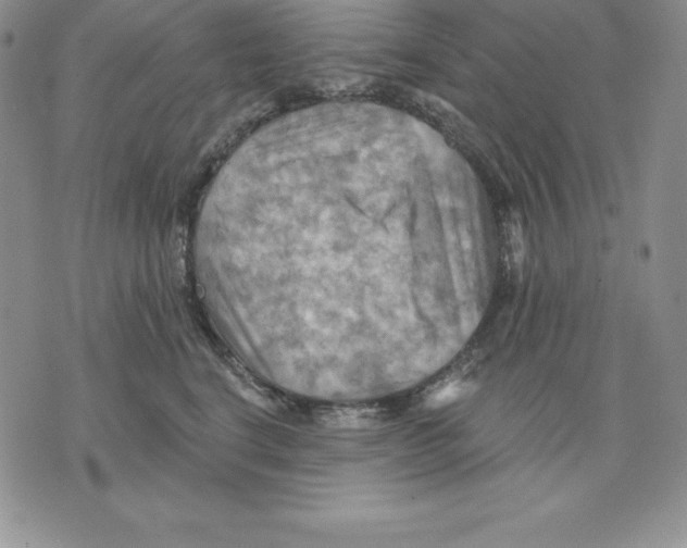 X0000075830664200610151521