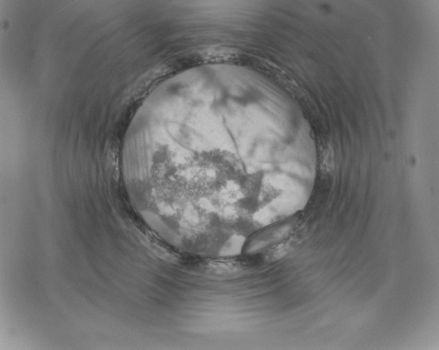 X0000075830666200610151521