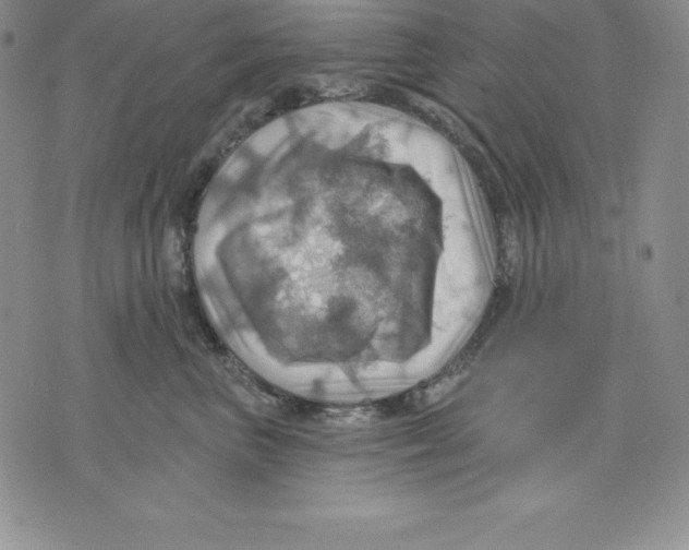 X0000075830667200610151521