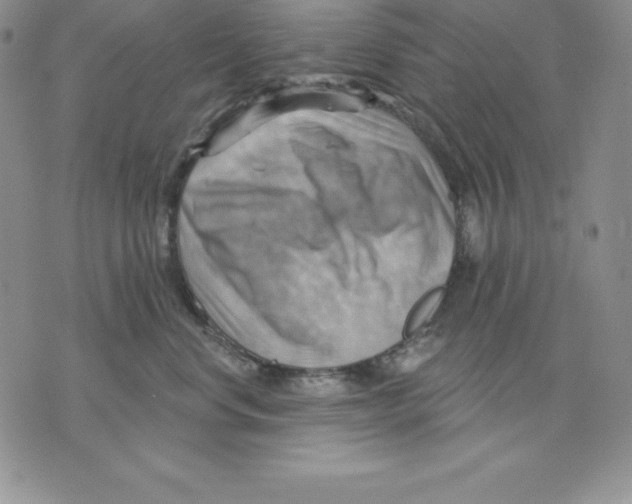 X0000075830668200610151521