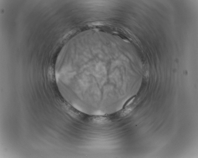 X0000075830669200610151521