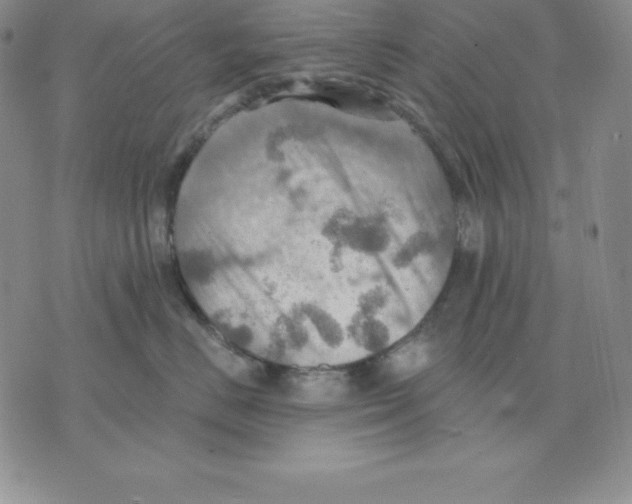 X0000075830670200610151521