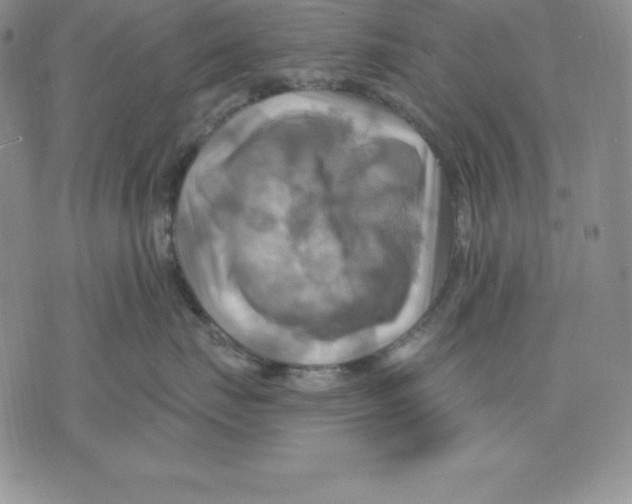 X0000075830671200610151521