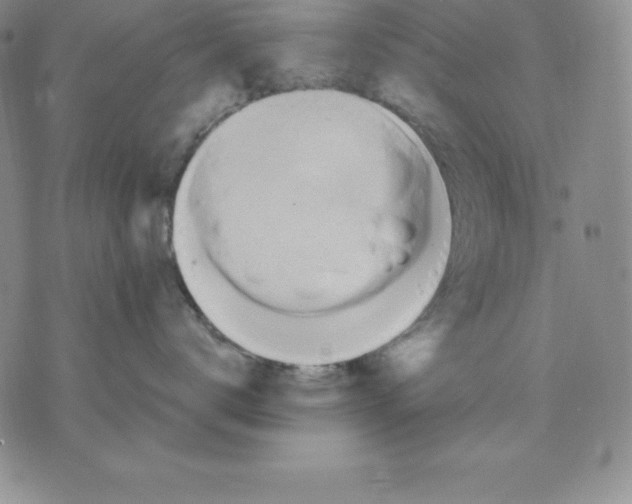 X0000075830672200610151521