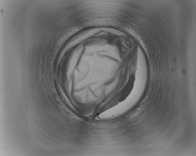 X0000075830673200610151520