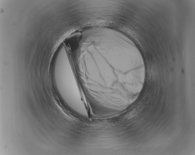 X0000075830674200610151520