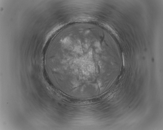 X0000075830675200610151520