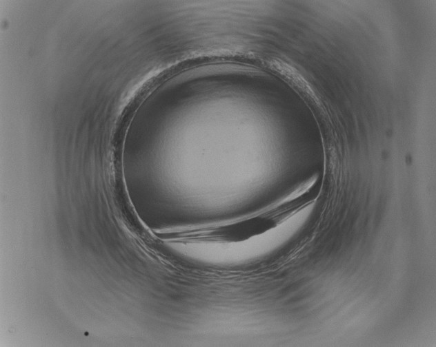 X0000075830676200610151520