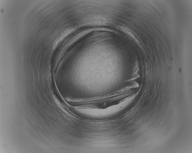 X0000075830677200610151520