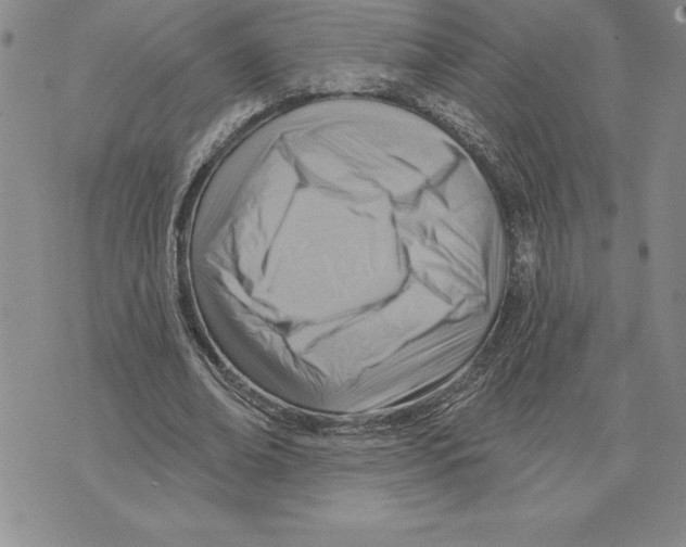 X0000075830678200610151520