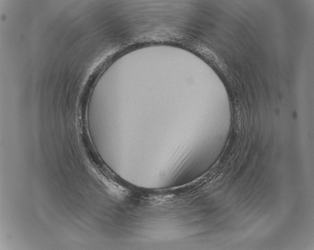 X0000075830680200610151520