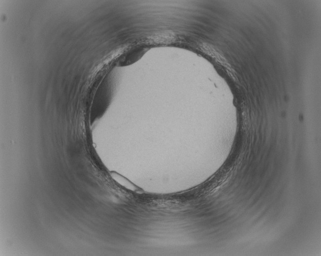 X0000075830681200610151520