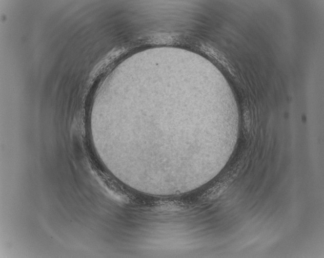 X0000075830682200610151520