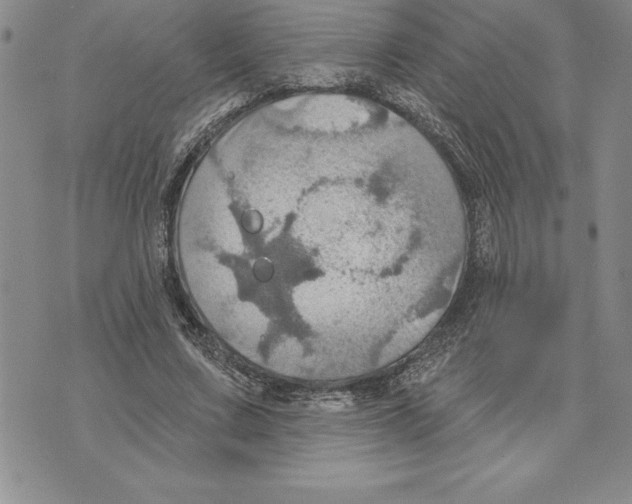 X0000075830683200610151520