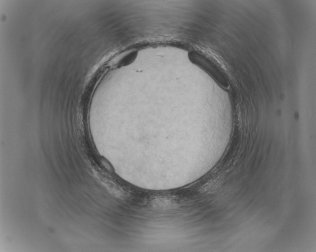 X0000075830684200610151520