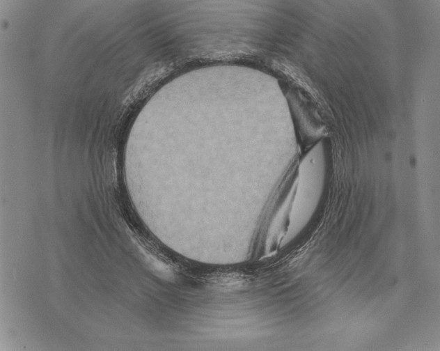 X0000075830685200610151520