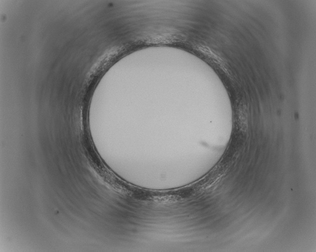 X0000075830686200610151520