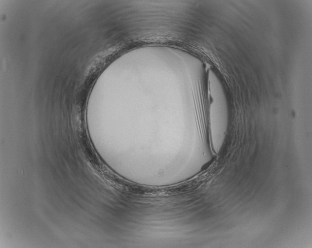 X0000075830688200610151520