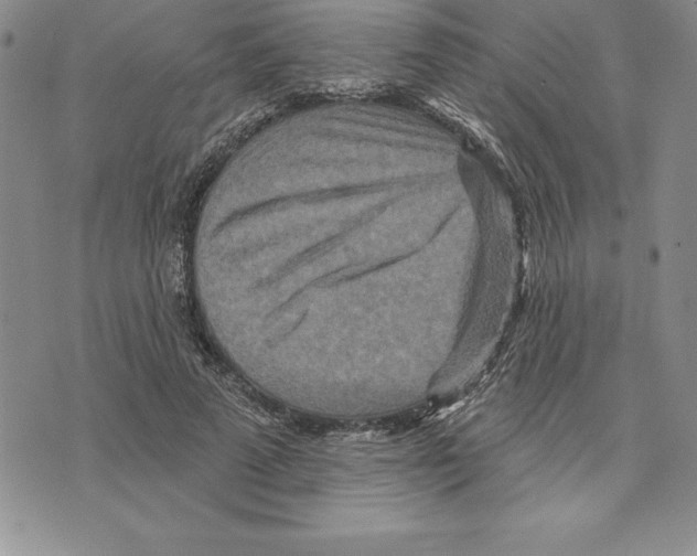 X0000075830689200610151520