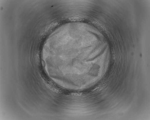 X0000075830690200610151520