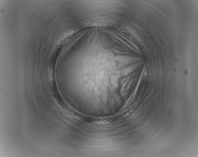 X0000075830692200610151520