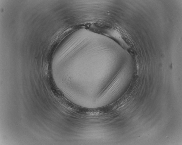 X0000075830693200610151520