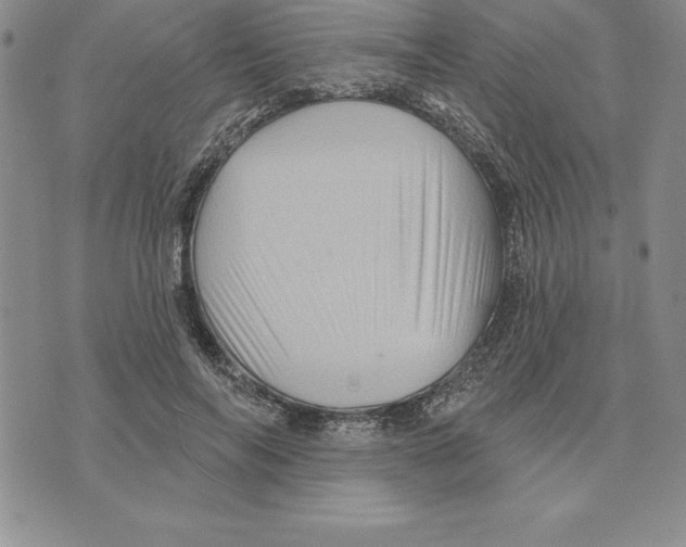 X0000075830694200610151520