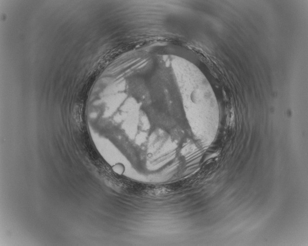 X0000075830695200610151520